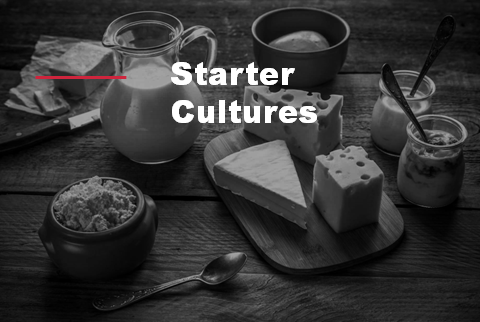 Go to Starter Cultures